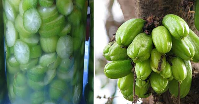 Important Health Benefits of Kamias or Bilimbi Fruit That You Need to Know